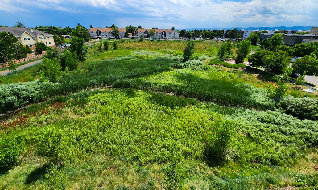 Community Resilience