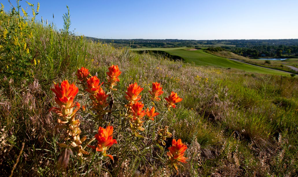 Ecosystem Health and Environmental Stewardship