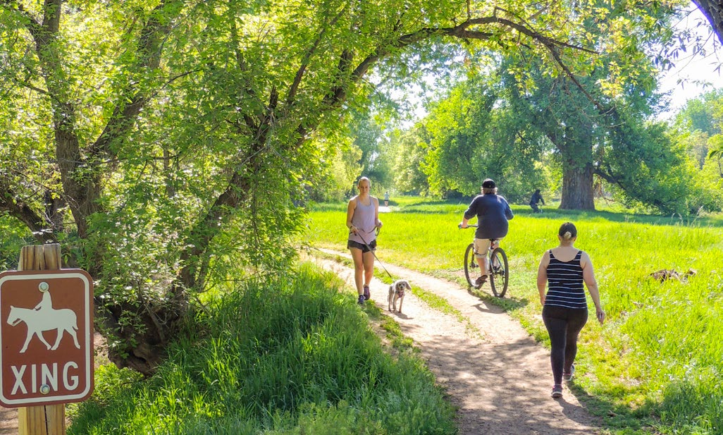 Equitable Access to Parks and Open Space 
