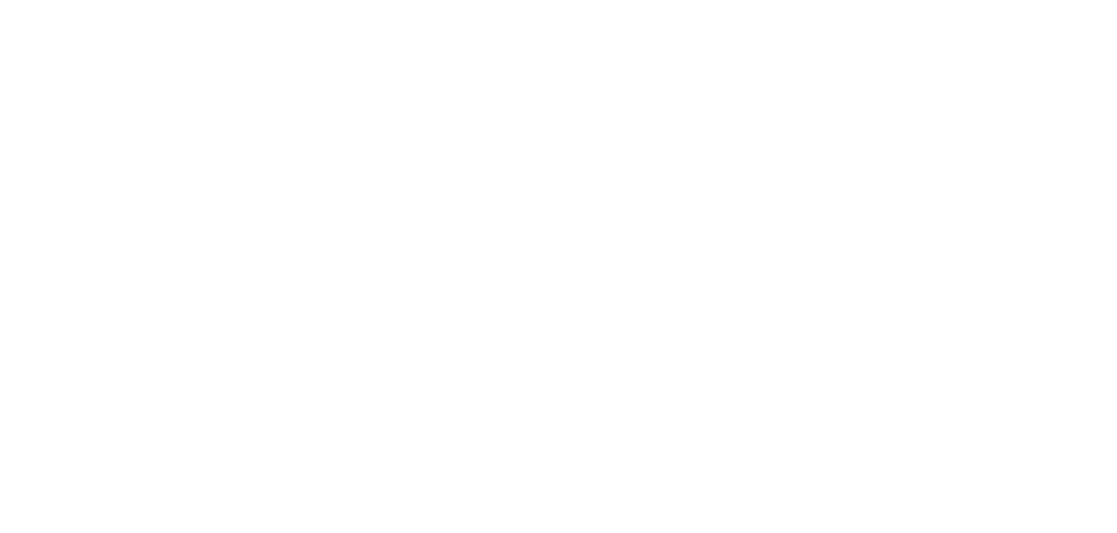 Envision Lakewood Logo